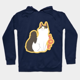 wow amaze cat Hoodie